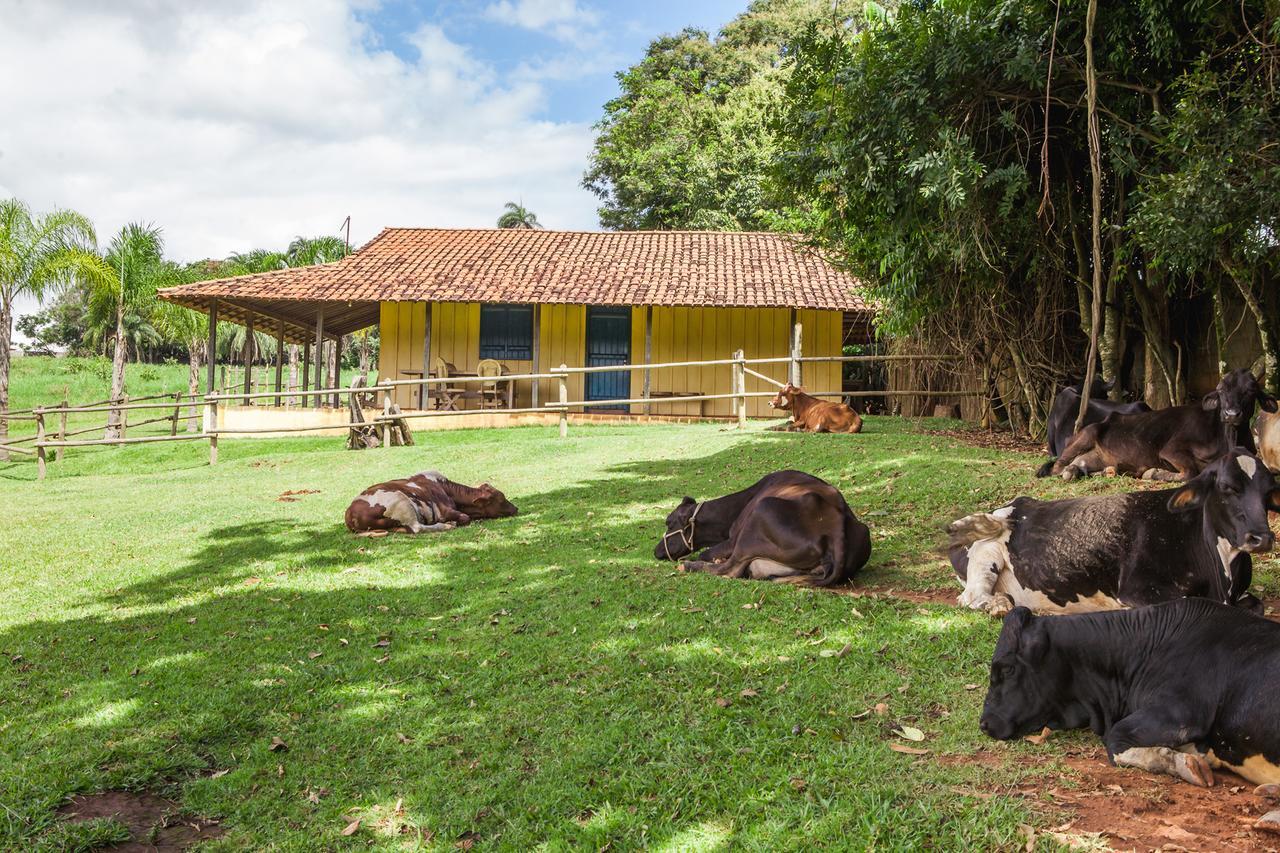 Hotel Fazenda Igarapes Eksteriør billede